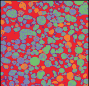 Phase Composition Map