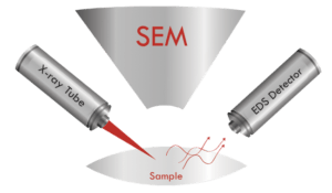 SEM-XRF: X-ray sources for microXRF on a SEM — IXRF Systems