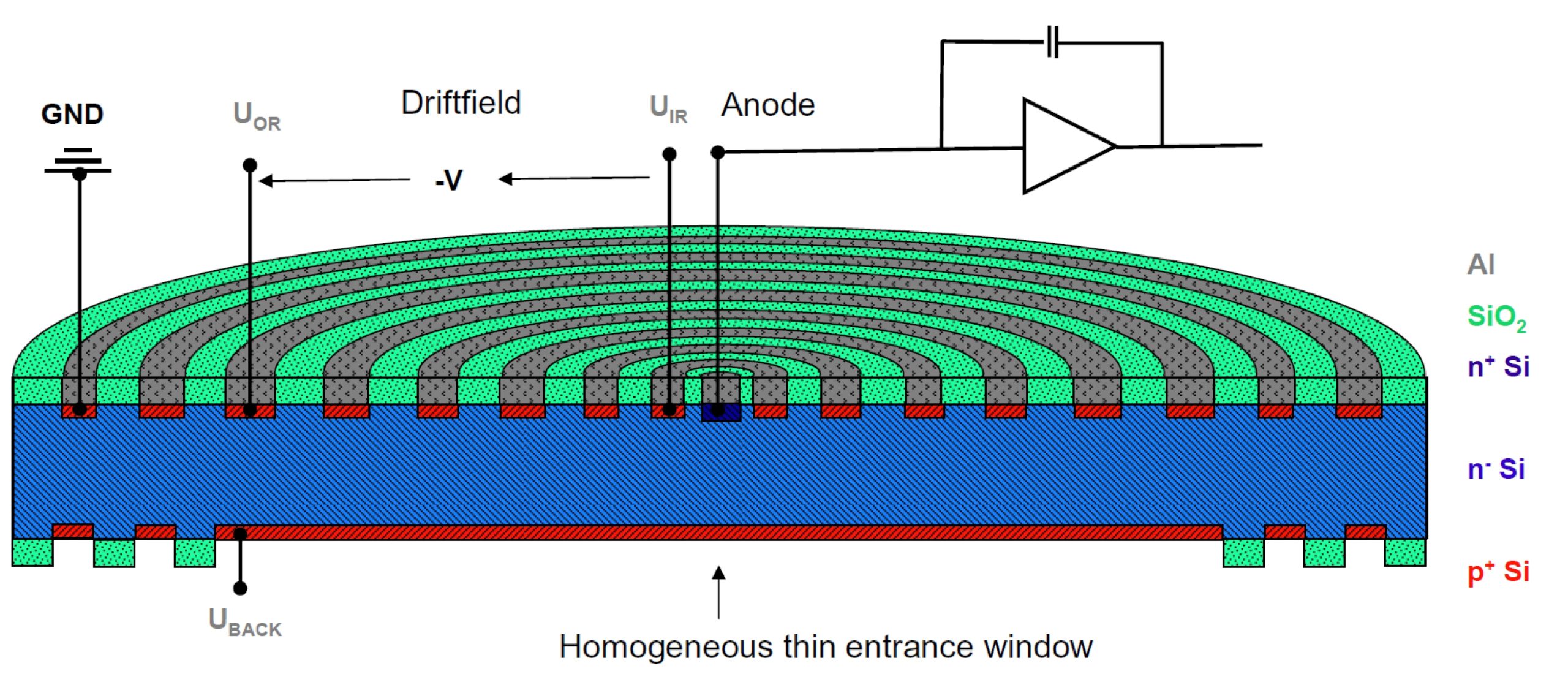 SDD Schematic