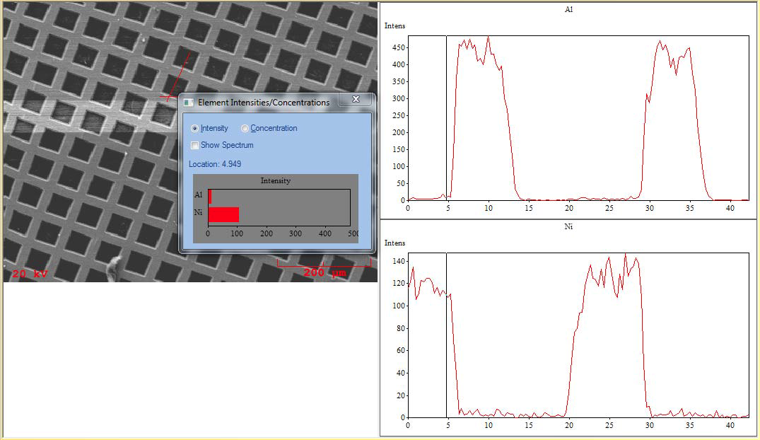 DataView (Intensity/Concentration)