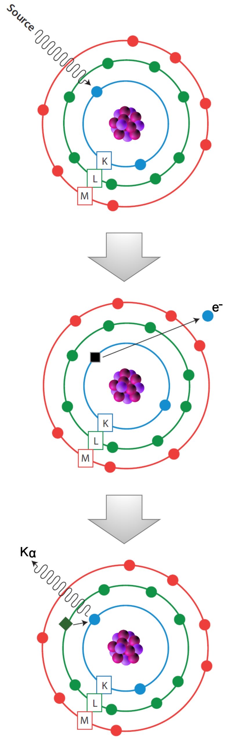 XRF Schematic