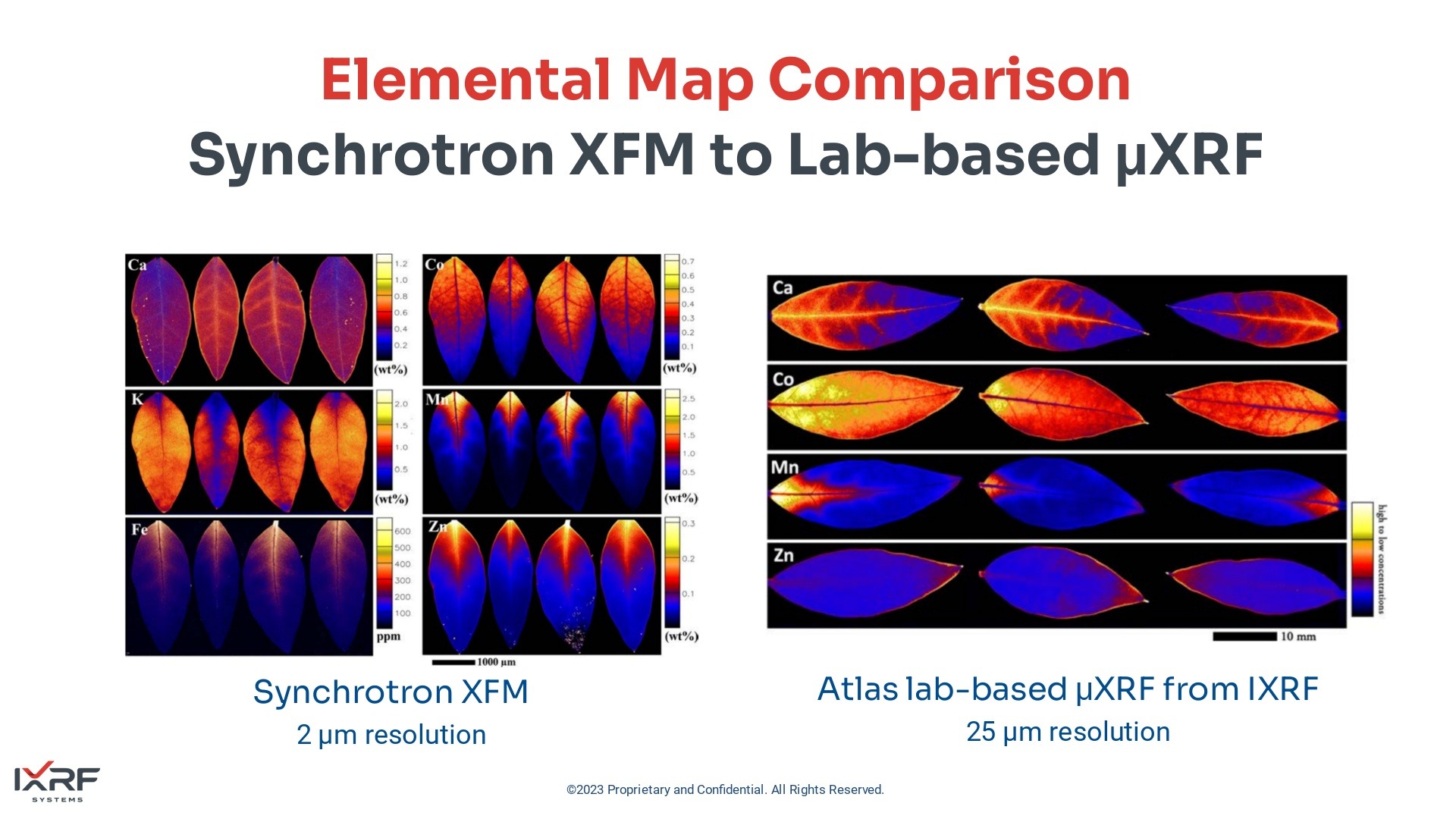 Elemental map comparison of synchrotron XFM to laboratory-based microXRF