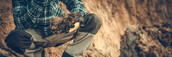 MicroXRF Analysis of Critical Minerals in Aquic Soils